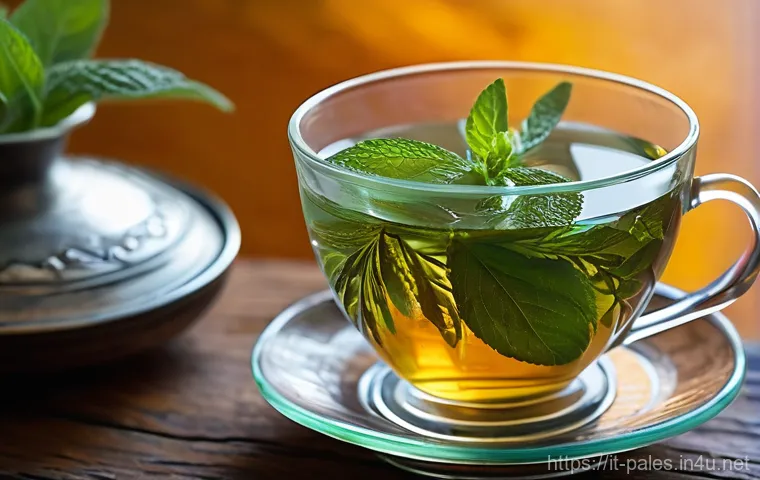 팔레스타인 전통 차와 허브티 - A tranquil and authentic depiction of an elderly Palestinian woman, her face etched with wisdom and ...